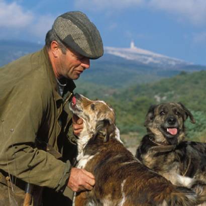 Séjour truffes à la ferme du Viguier