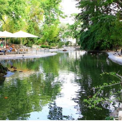 Le jardin du Rocher des Doms