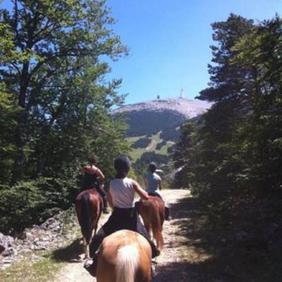 Les Crinières du Mont Ventoux