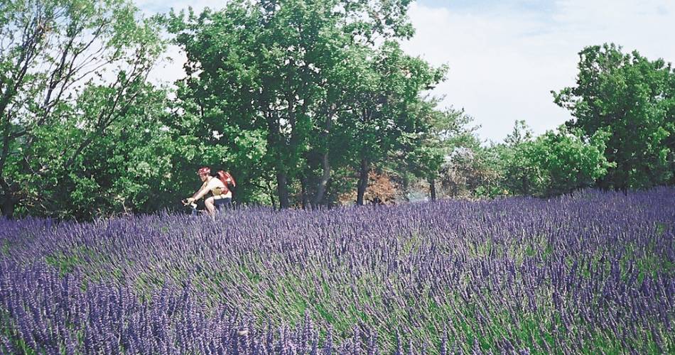 Grande Traversée du Luberon@Cap Liberté