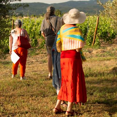 Balade pédagogique au coeur du vignoble du Domaine de Mas Caron