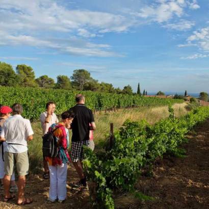 Visite guidée du Clos de Caveau