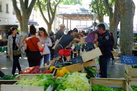 Le marché du centre-ville