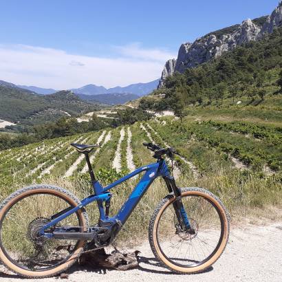 Balade accompagnée en VTT et dégustation à Gigondas LaCave