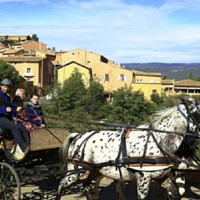 Provence HippoServices