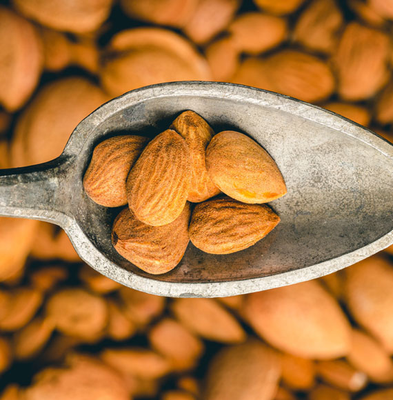 Amandes de Provence