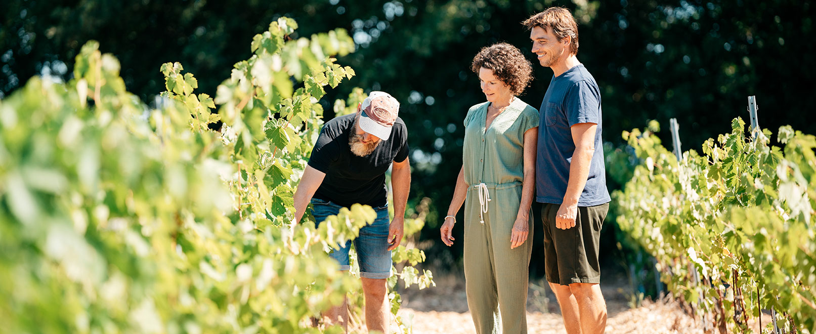 Balades dans les vignes © O’Brien