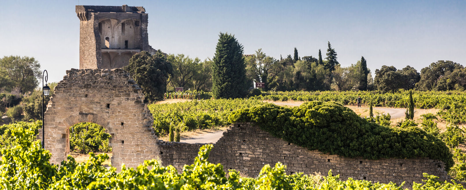 Châteauneuf-du-Pape © Kessler