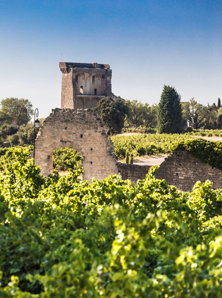 Châteauneuf-du-Pape