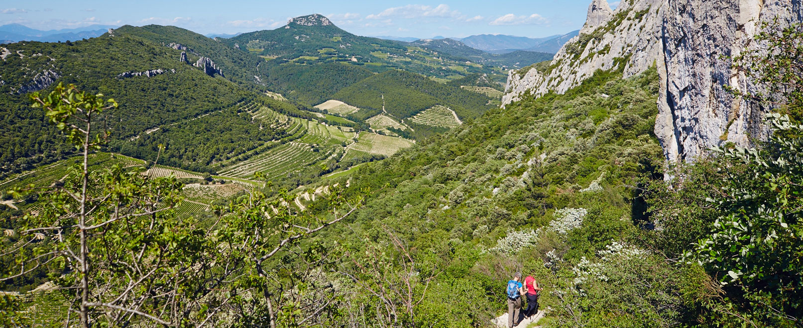 Randonnée dans les Dentelles-de-Montmirail  © Coquard