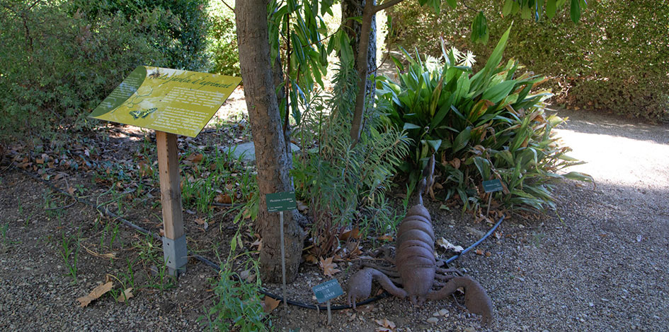 Jardin de l'Harmas à Sérignan du Comtat