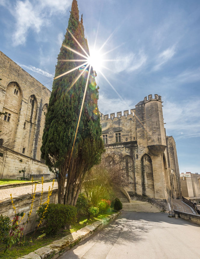 Palais des Papes à Avignon