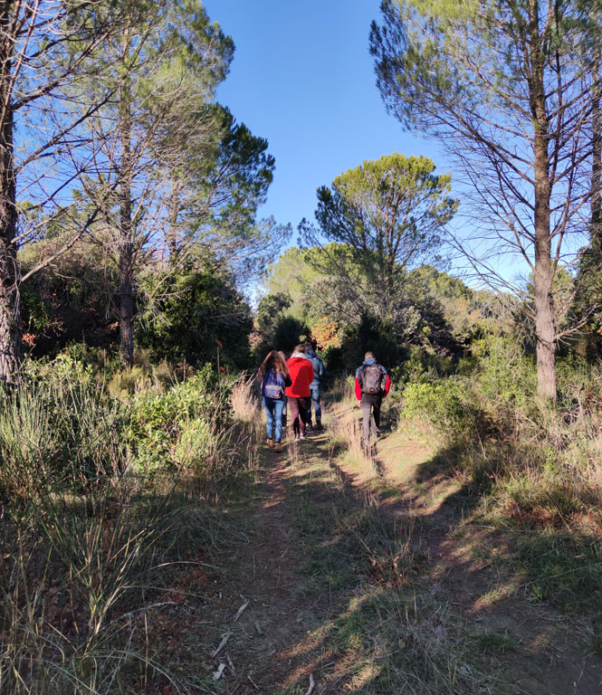 Randonnée à Sérignan du Comtat