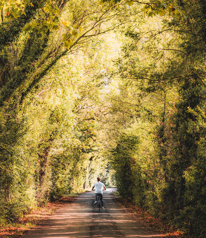 A vélo sur la Barthelasse à Avignon