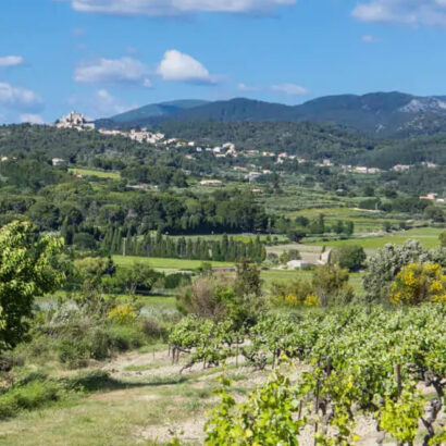 Les vignobles du Ventoux