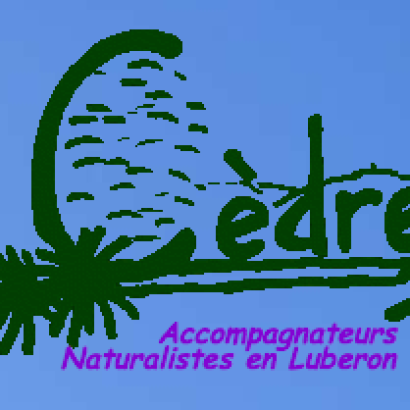 Cèdres