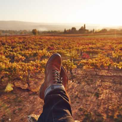 Balades insolites dans les vignes